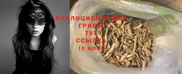 гашик Беломорск