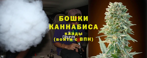сатива Белоозёрский