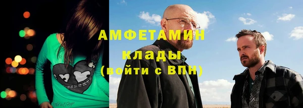прущие грибы Балабаново