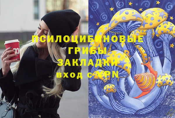 гашик Беломорск