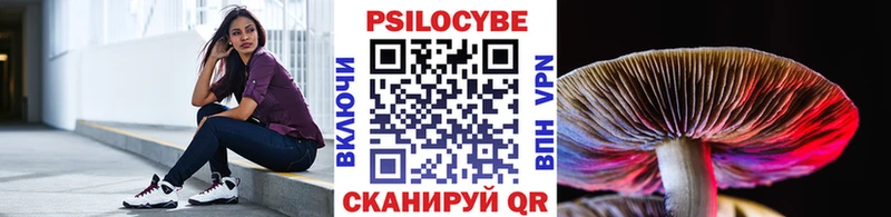 купить закладку  kraken зеркало  Галлюциногенные грибы Cubensis  Бобров 